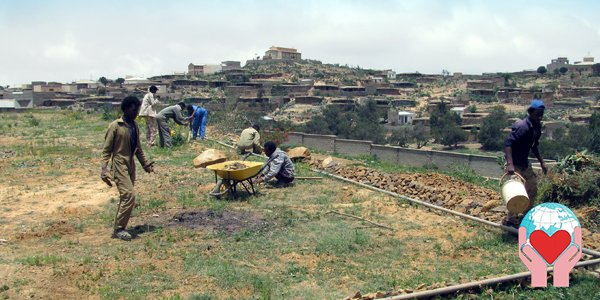 Eritrea news