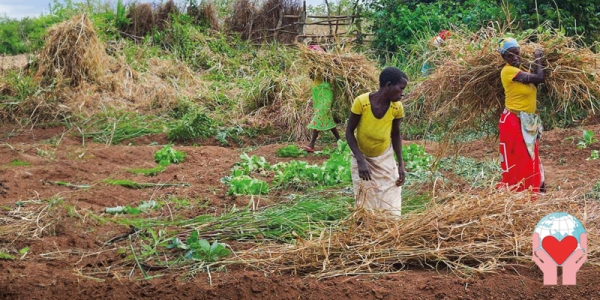 donne in agricoltura